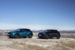DS 3 Crossback 2019 года (WW)